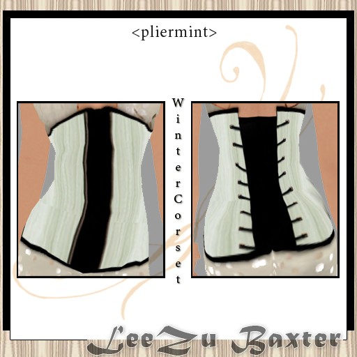 [Copy+of+corset+pliermint.jpg]