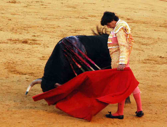 Curro Díaz en Sevilla