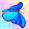 [Butterfly-Avatars_243.jpg]