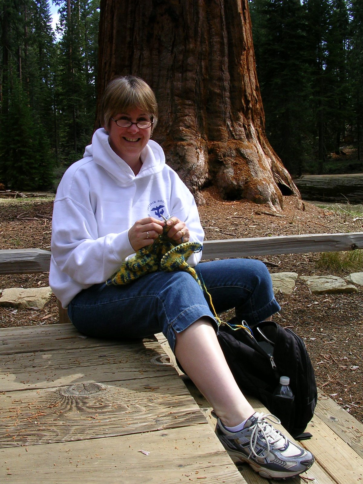 [knitting+among+redwoods2.jpg]