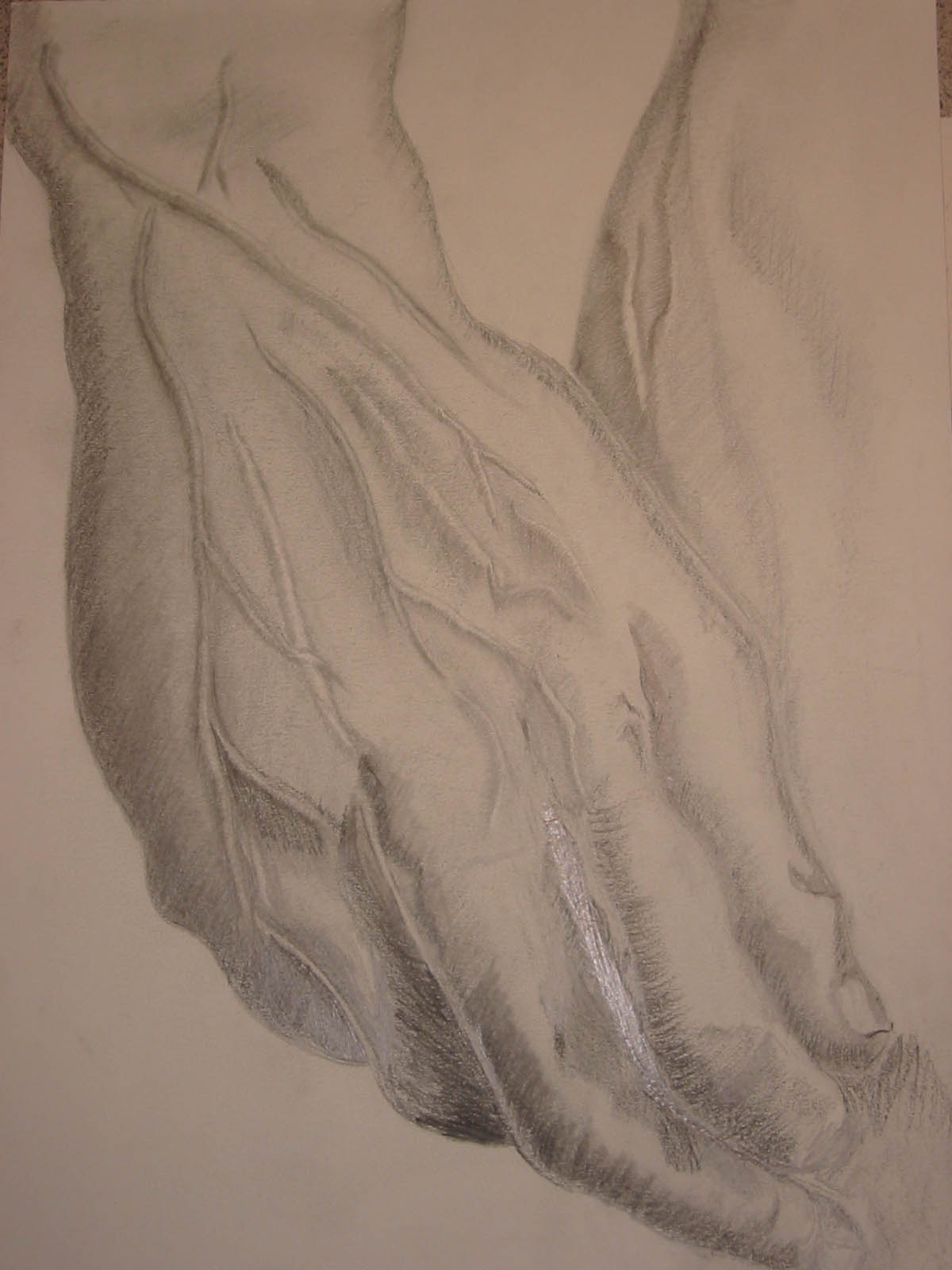 Mãos de Davi (Michelangelo)