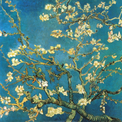 [Amendoeiras+em+flor+de+Van+Gogh.jpg]