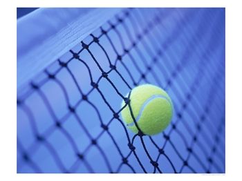 [345675~Tennis-Ball-in-Net-Posters.jpg]
