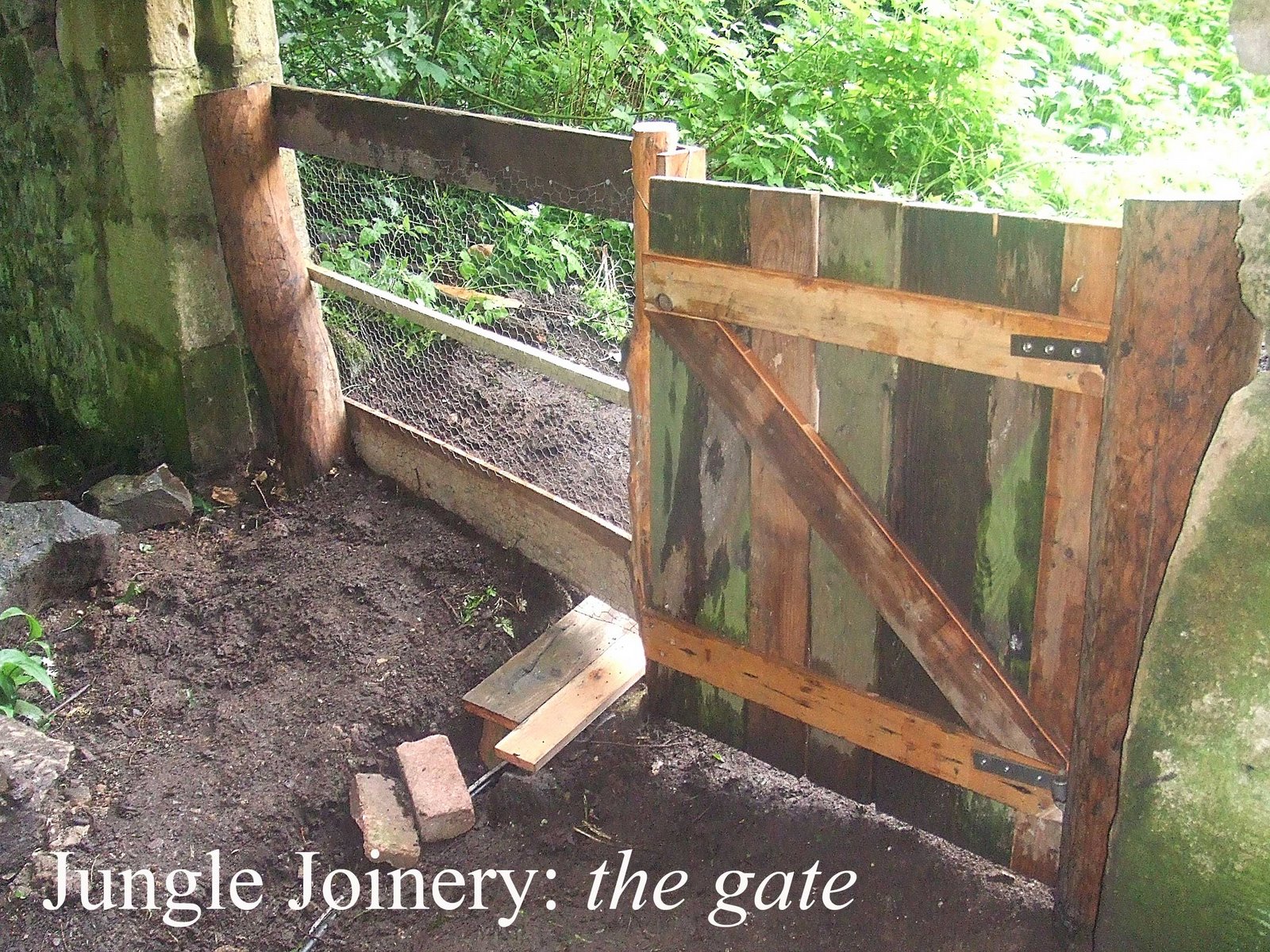 [the-gate.jpg]