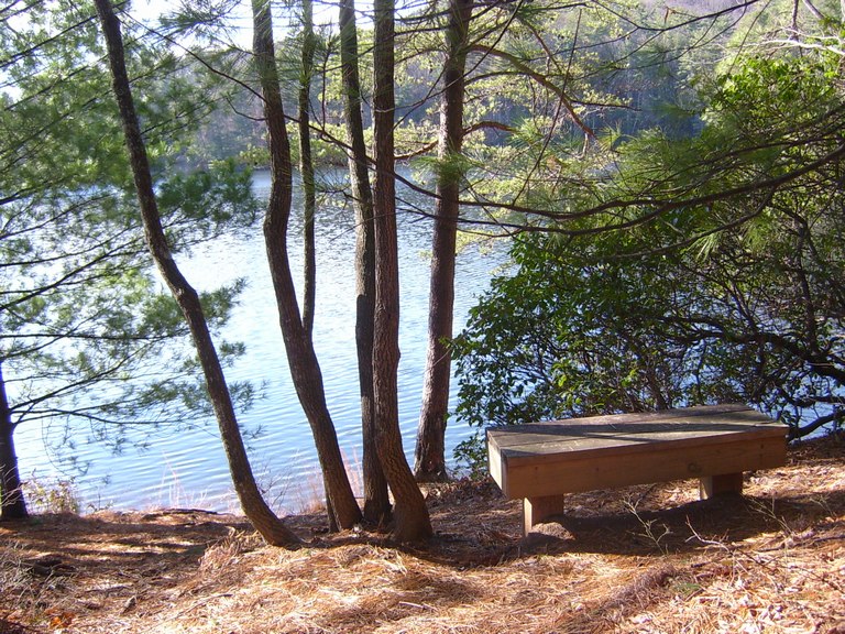 [a+resting+spot+at+the+lake.jpg]
