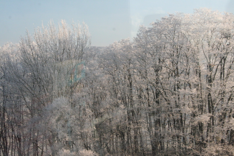[Winter+landscape.jpg]