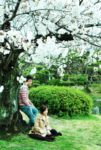 [sakura+garden.jpg]
