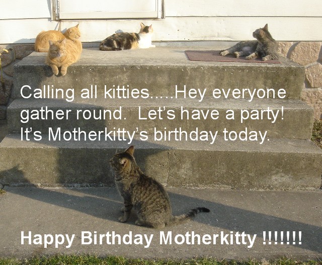 [Motherkitty's+Birthday.jpg]