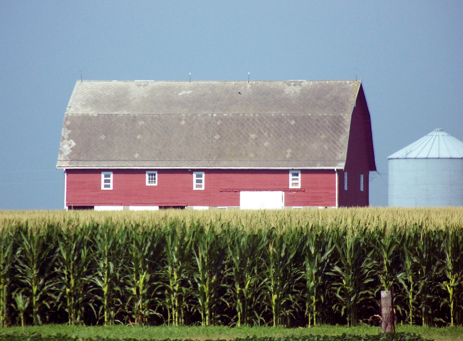 [Red+barn,+corn+field+and+silo.jpg]