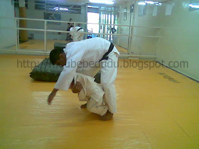 [judo4.jpg]