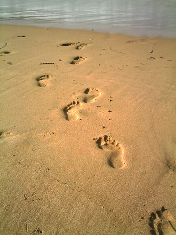 [Beach+Footprints.jpg]