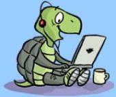 [tortoise-laptop.jpg]