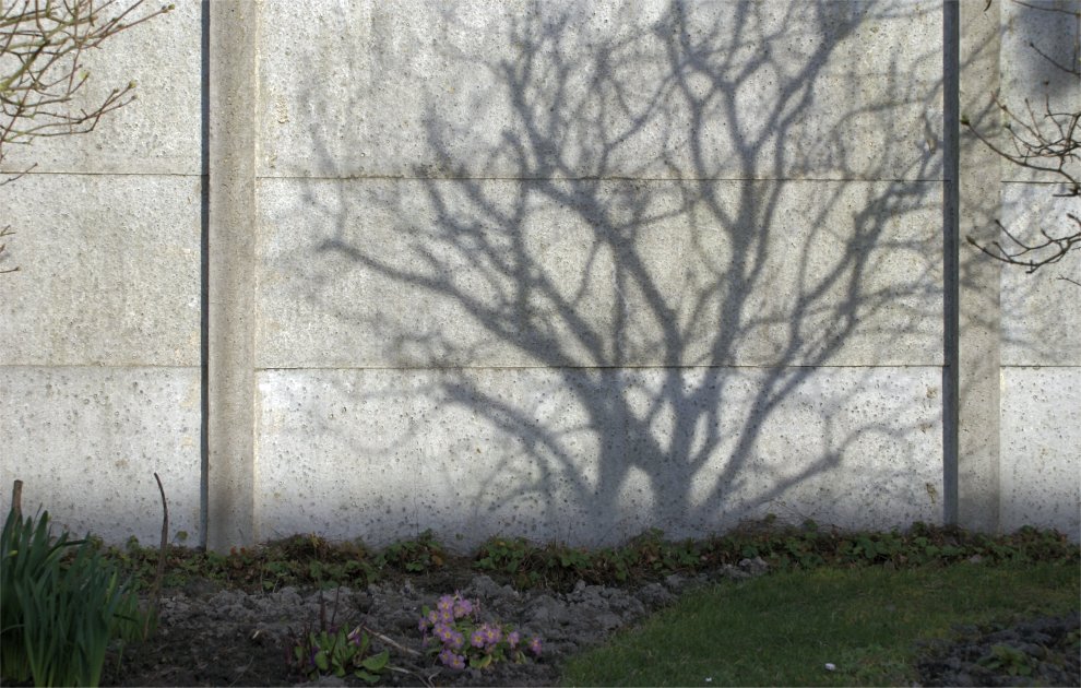 [2008-03-07_OmbreD'arbre.jpg]