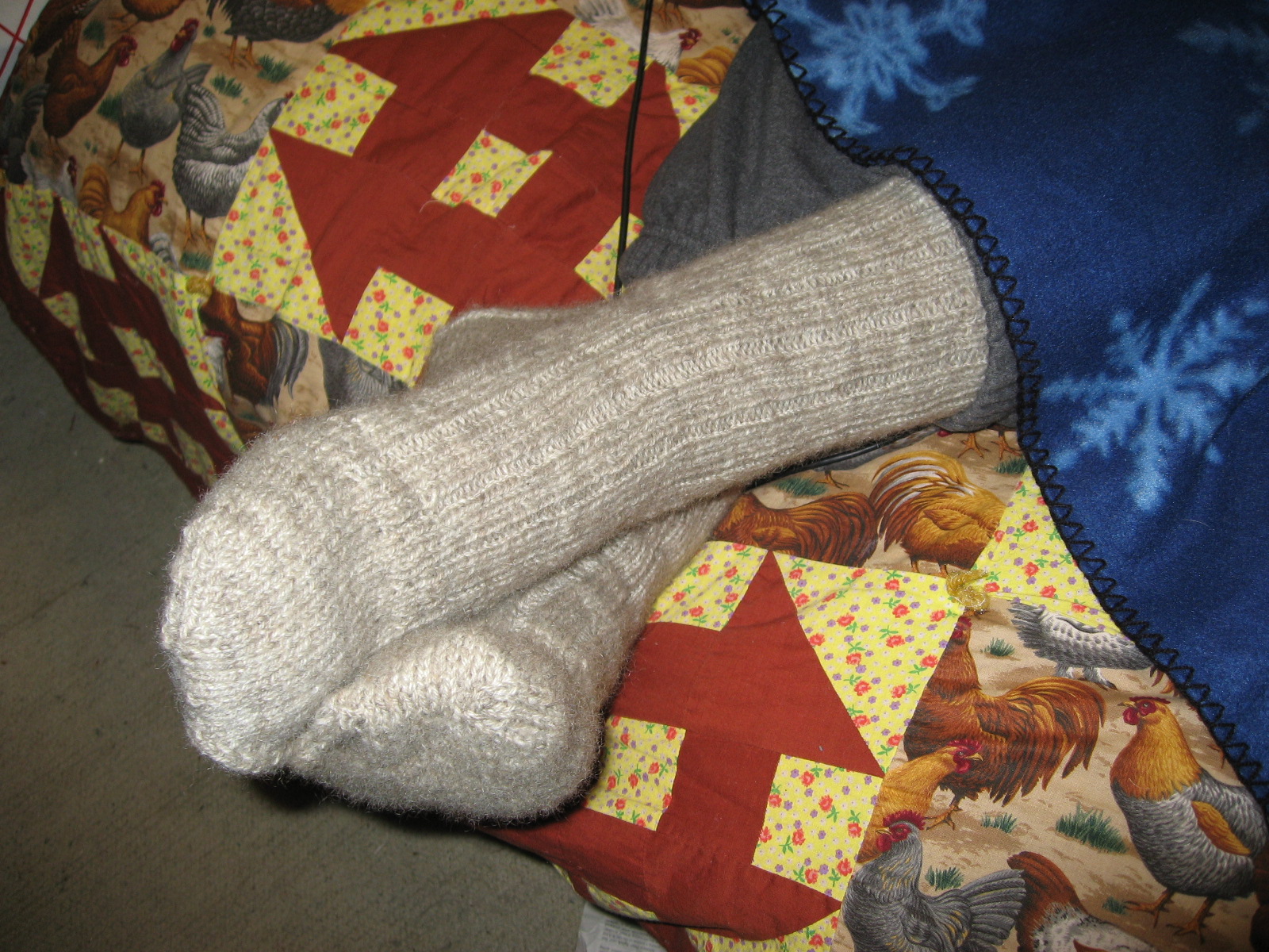 [possum+socks+001.jpg]