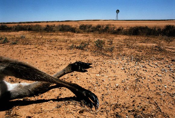 [Aussie+drought.jpg]