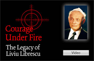 Professor Liviu Librescu Video