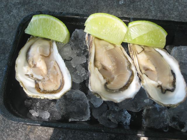 [Fest+oysters.jpg]