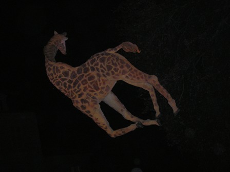 [museum+girafe2.JPG]