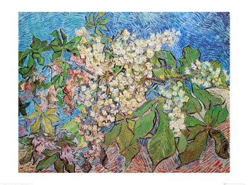 [VanGoghK678~Blossoming-Chestnut-Van-Gogh.jpg]