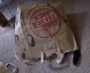 [cat+in+bag.jpg]