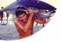 [image_of_fishing_in_the_Philippines.jpg]