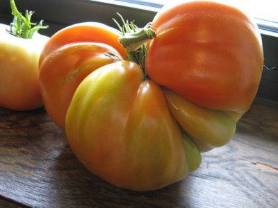 [odd_tomato[1].JPG]