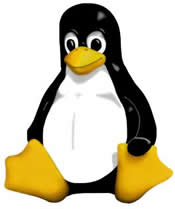 [linux-penguin.jpg]