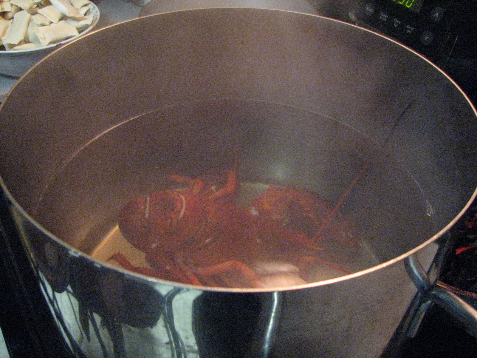 [lobster+002.JPG]