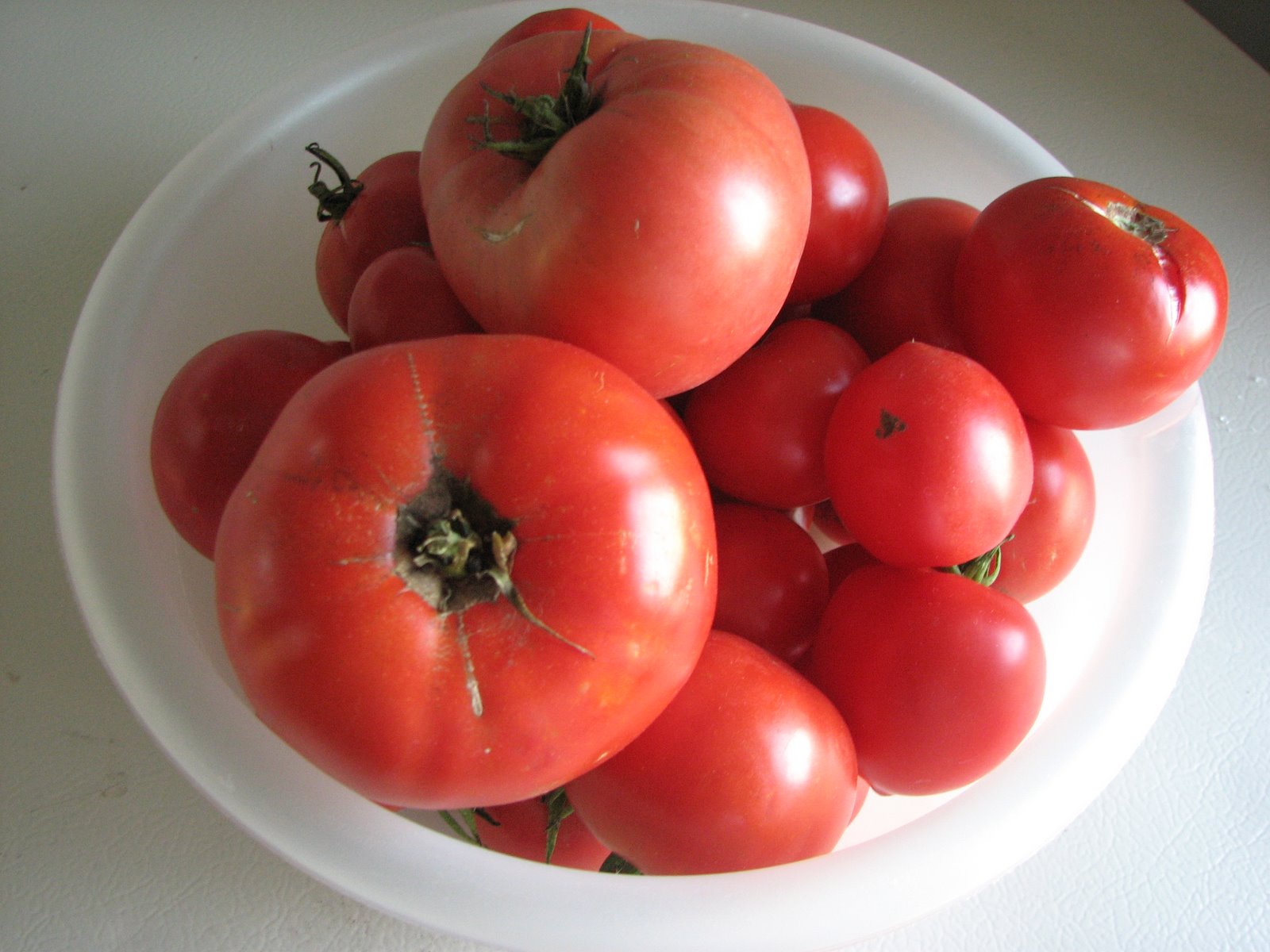 [October+Tomatoes.jpg]