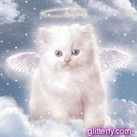 [angel_kitty.gif]