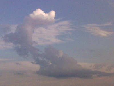 [Clouds...JPG]