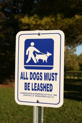 [Dogs+Leashed_000002223805XSmall.jpg]