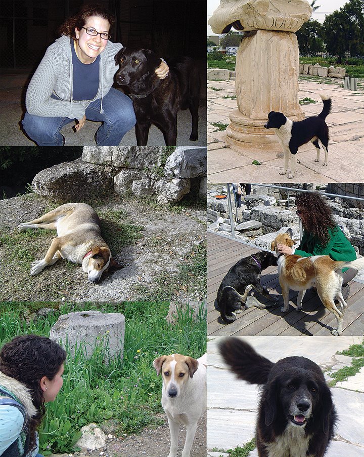 [Dogs+in+Greece_LR.jpg]