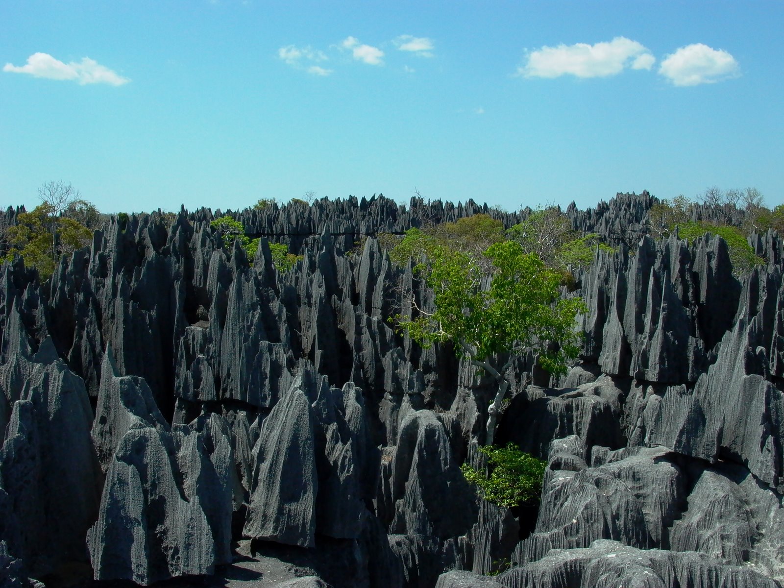View of The Grand Tsingy of Bamara in Madagascar. 2004 