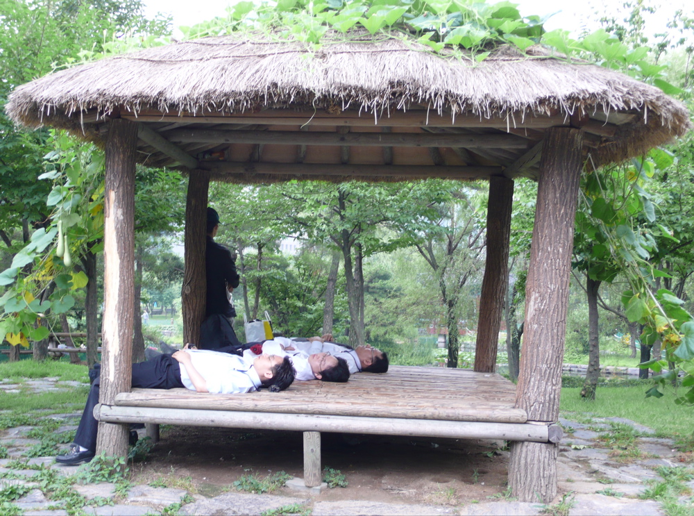 Everyday Koreans. £ Korean office workers taking a nap one lunchtime in Yeouido park 