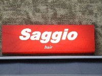 Saggio hair