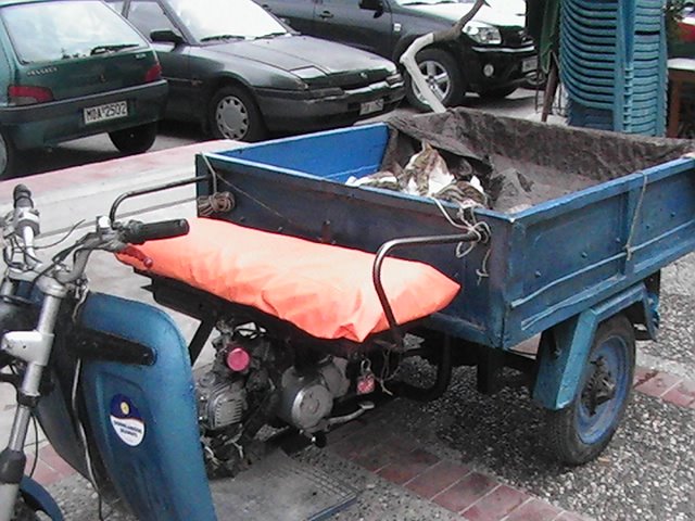 [cats+in+truck+(3).JPG]