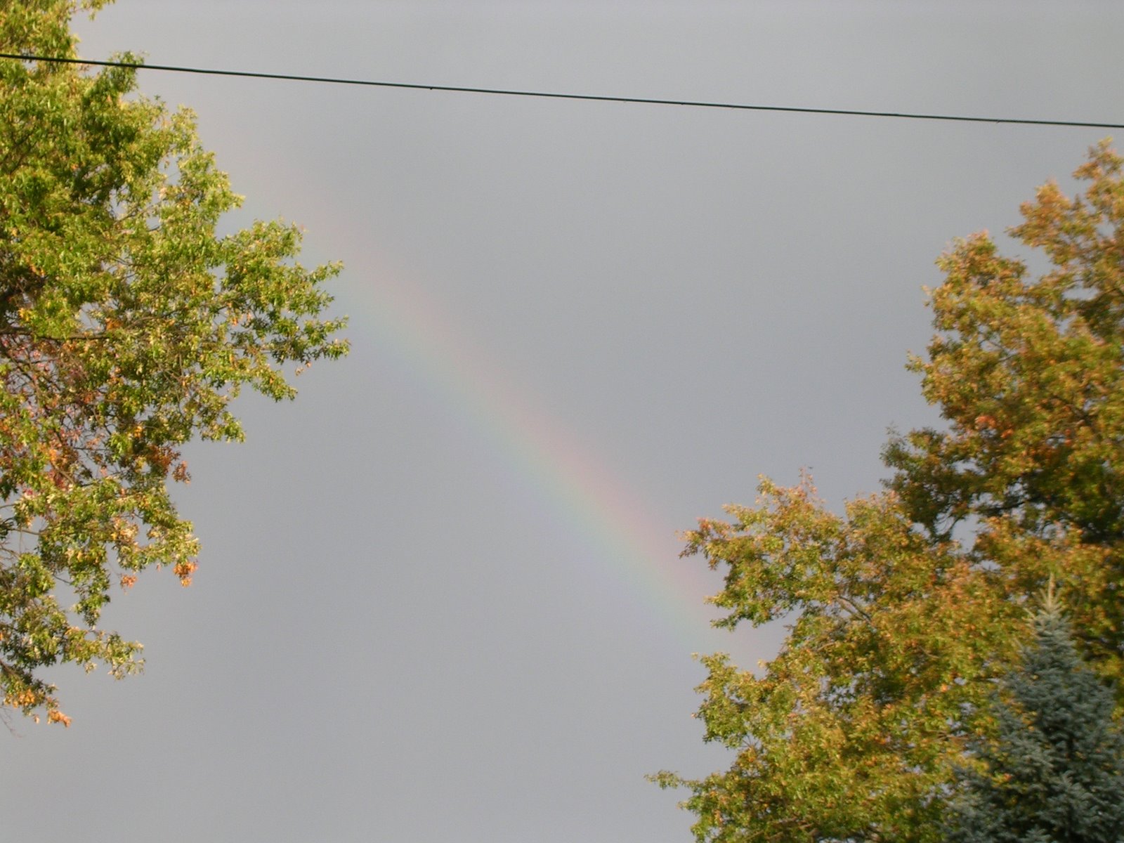[rainbowoct2.JPG]