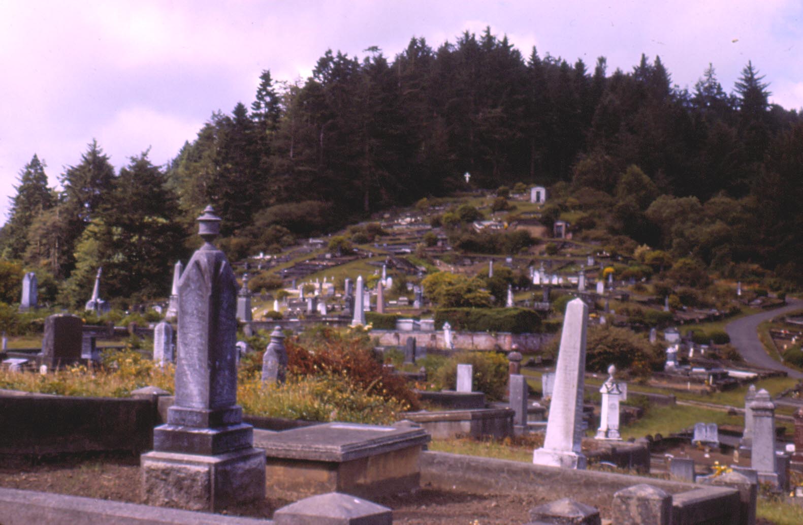[ferndale+cemetery+1983+2.jpg]