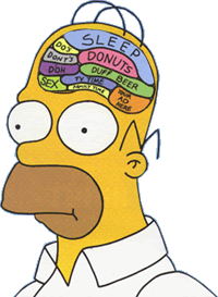 [Homers+Brain.gif]