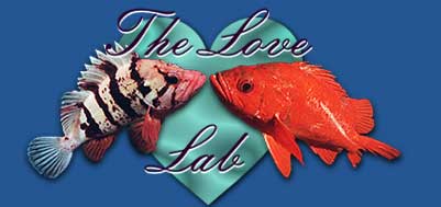 [Love+lab+Logo.jpg]