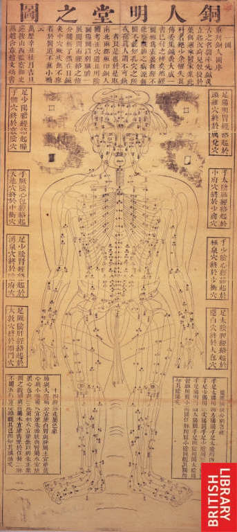 [acupuncture+chart.jpg]
