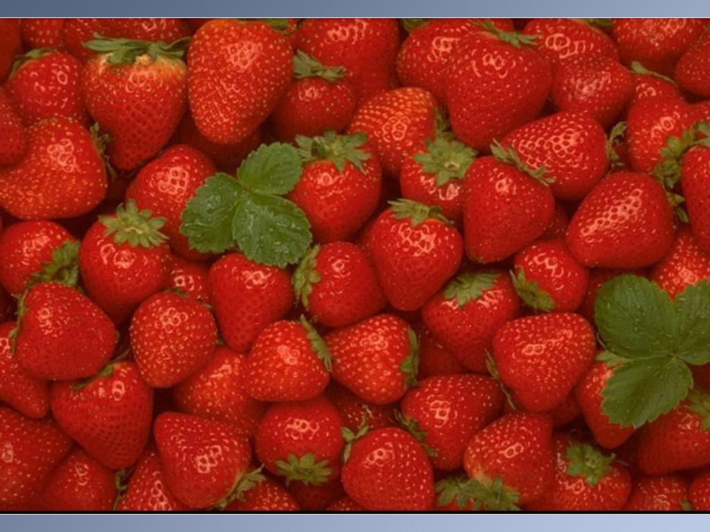 [Strawberry-0001.jpg]