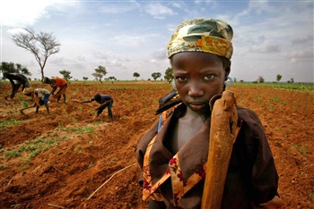 [Niger-Sud-Agriculteurs-1juillet2005-1-3.jpg]