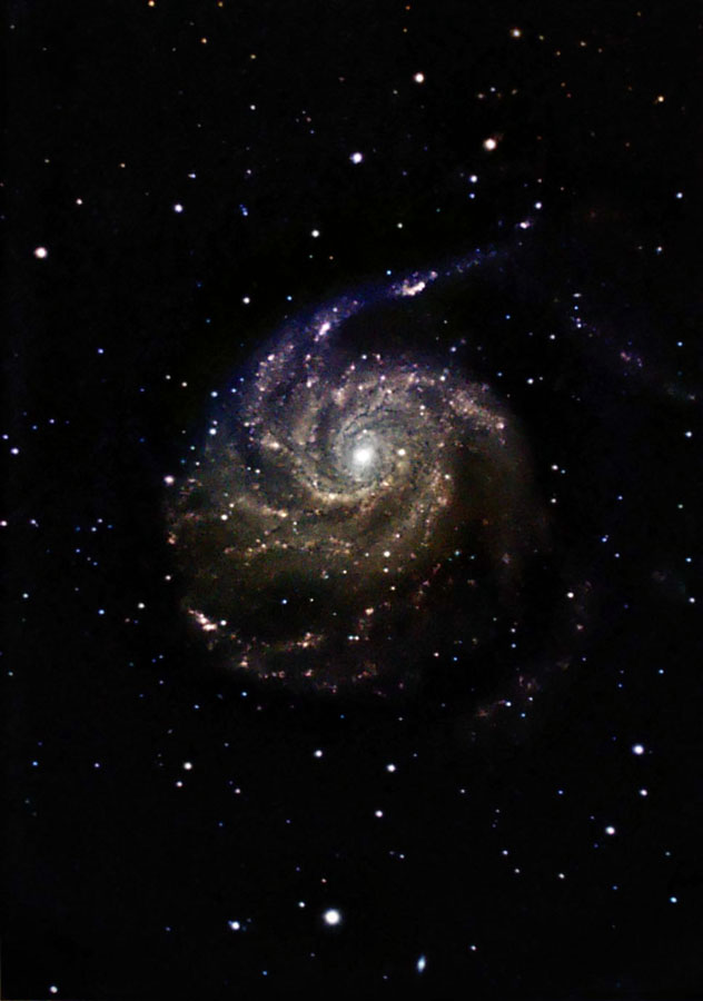 [M101b.jpg]