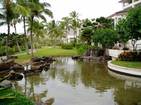 [Oahu+Hotel+Fish+Pond1.jpg]
