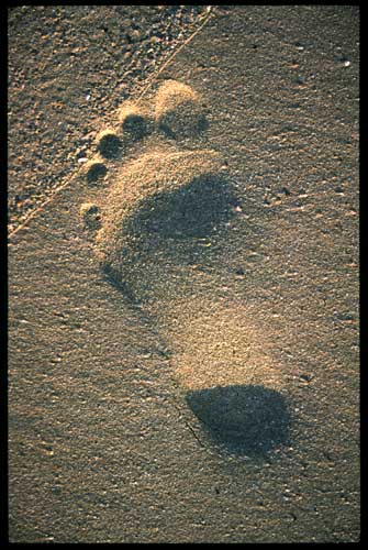 [footprint.jpg]