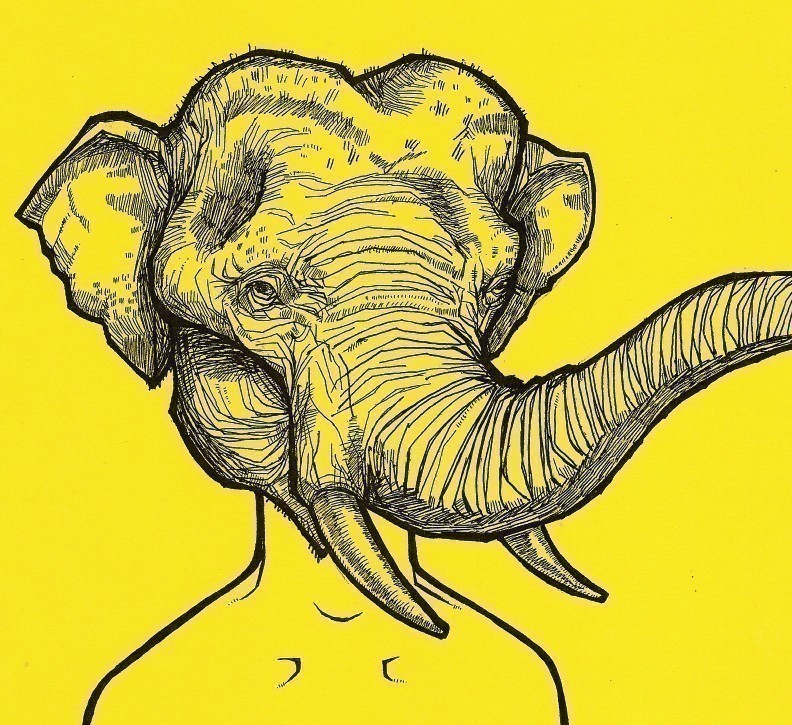 [elephant+head.jpg]