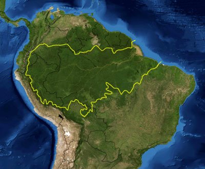 [Amazon_rainforest.jpg]
