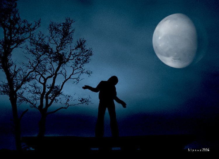 [Dancing+in+the+moonlight.jpg]